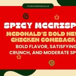 mcdonalds Spicy McCrispy us