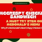 mcdonalds mccrispy chicken sandwich